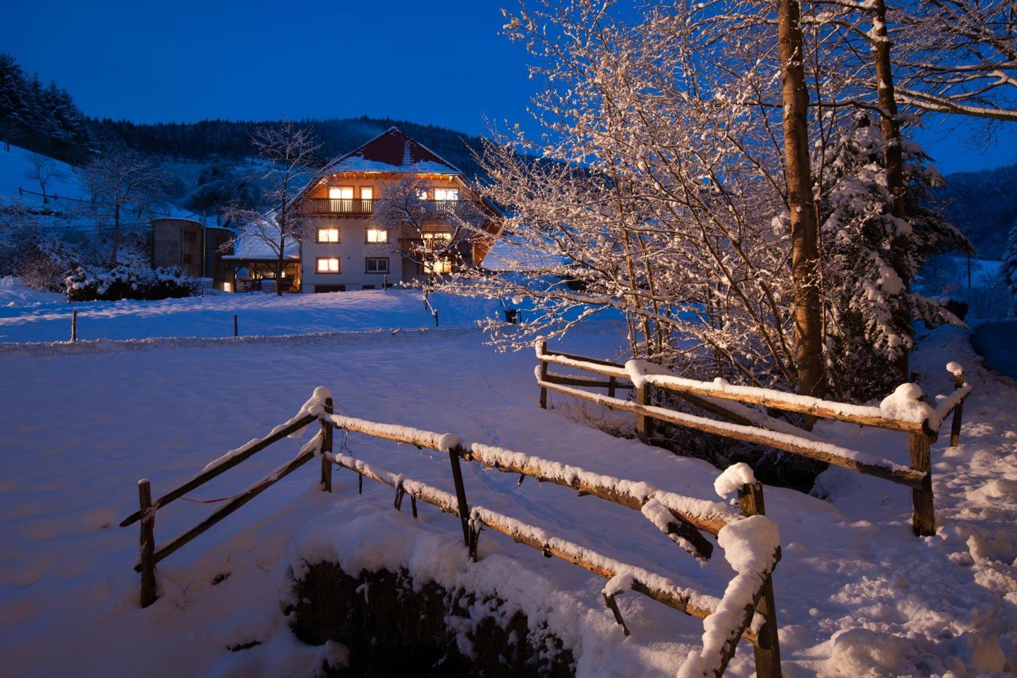 Schaetzlehof Hotel Winden im Elztal Kültér fotó