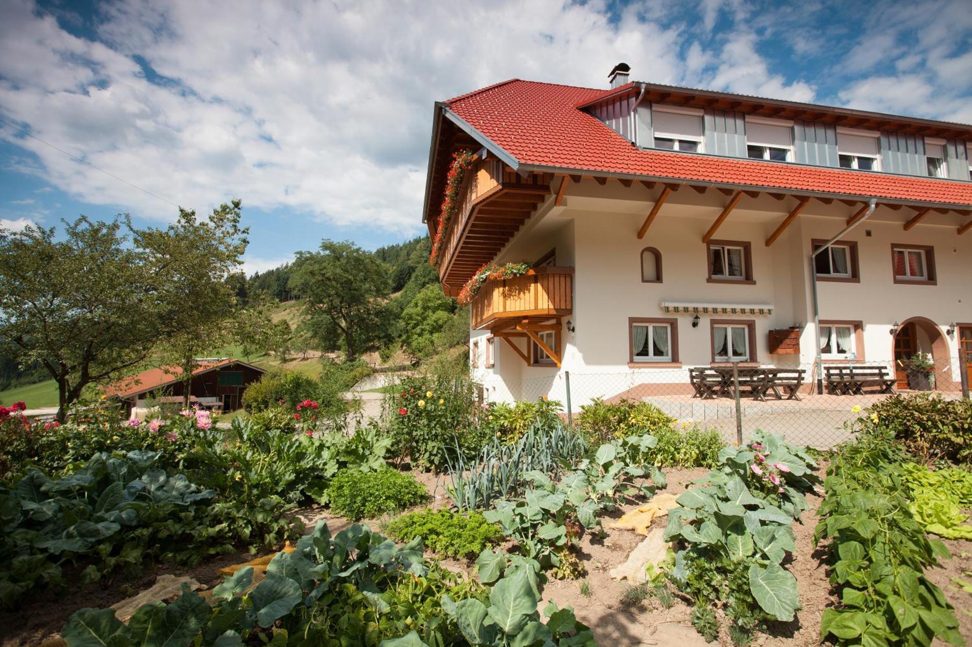 Schaetzlehof Hotel Winden im Elztal Kültér fotó