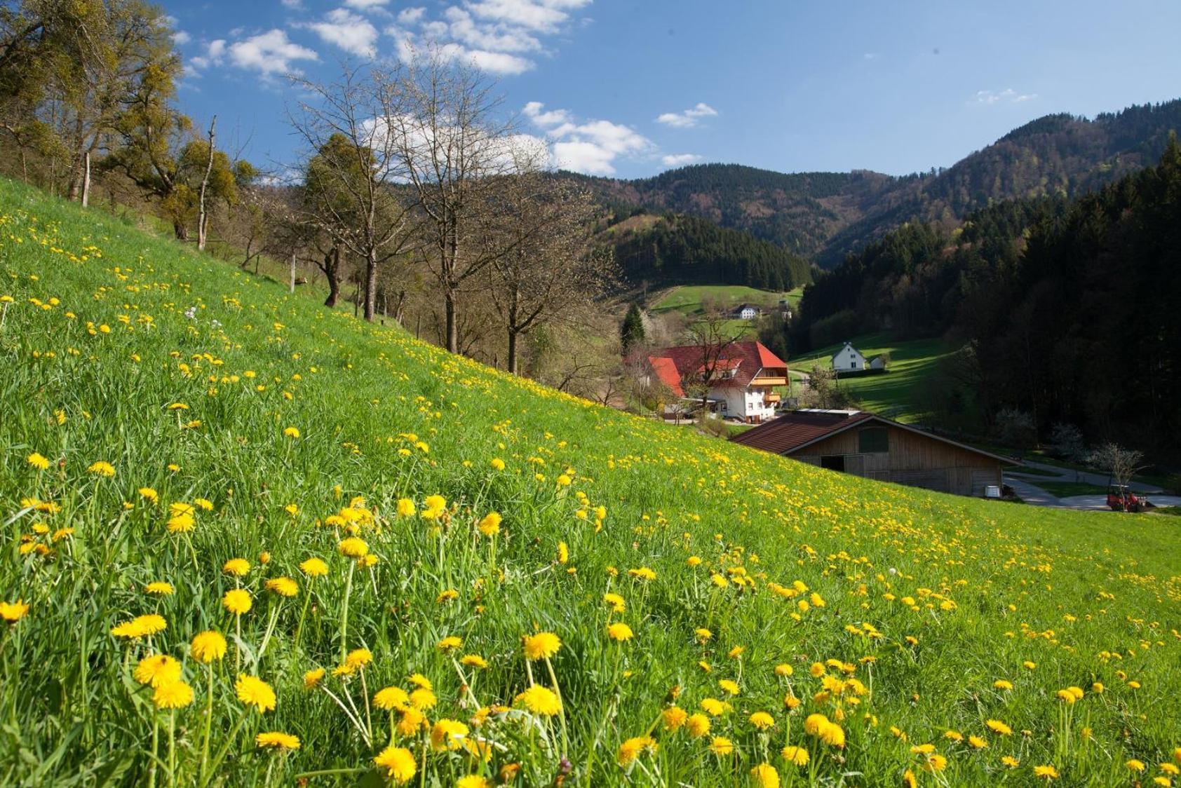 Schaetzlehof Hotel Winden im Elztal Kültér fotó