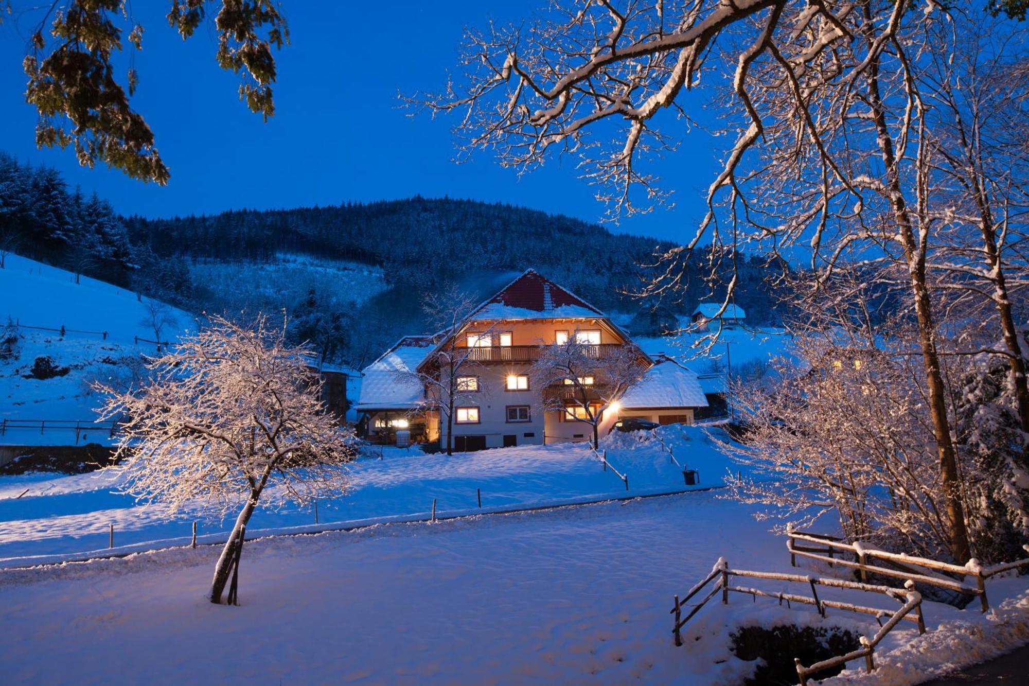Schaetzlehof Hotel Winden im Elztal Kültér fotó