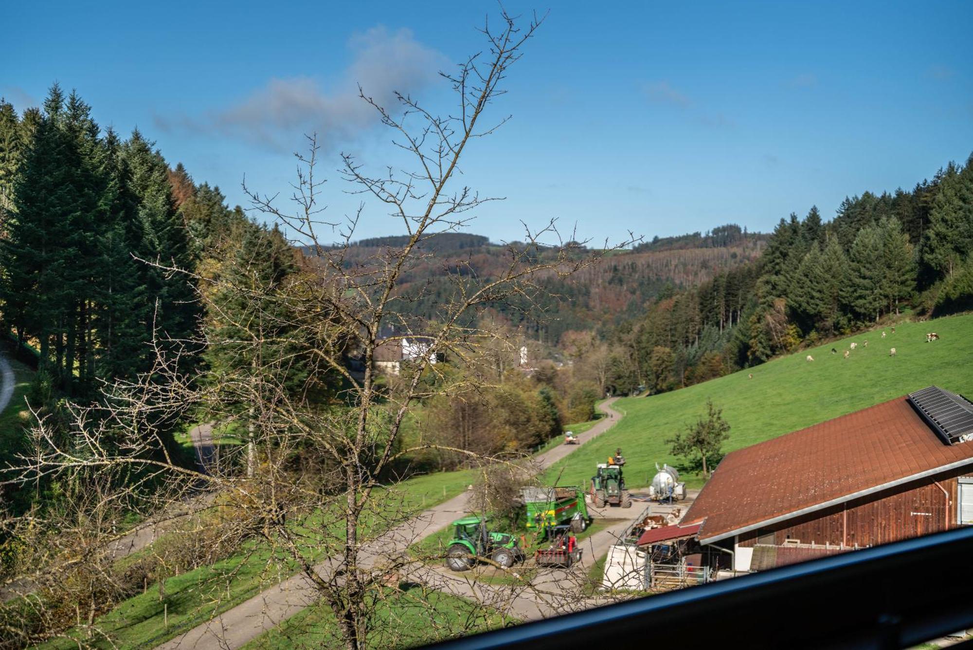 Schaetzlehof Hotel Winden im Elztal Kültér fotó