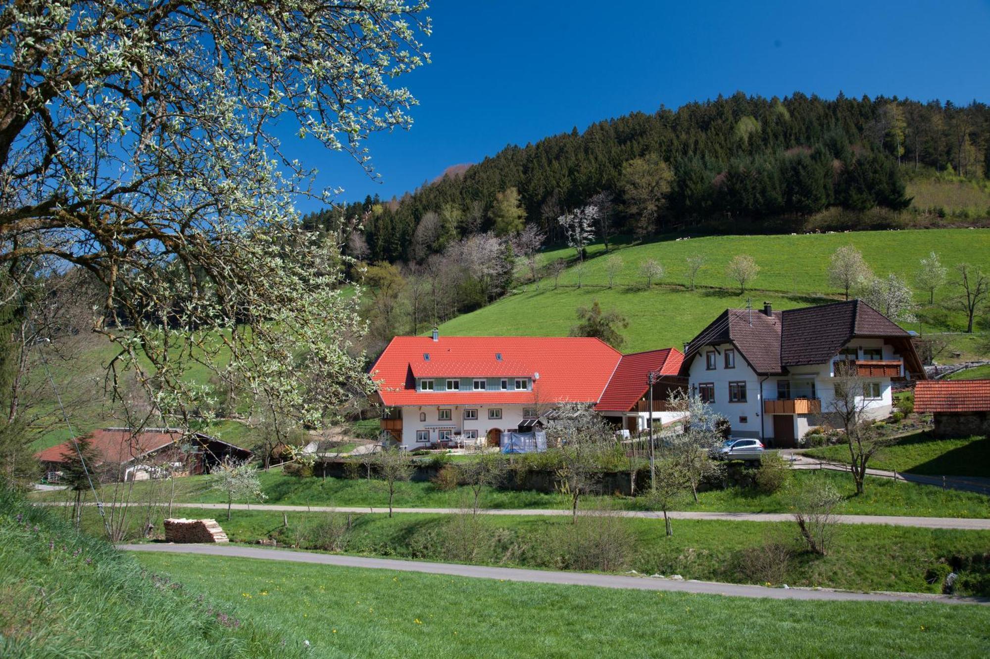 Schaetzlehof Hotel Winden im Elztal Kültér fotó